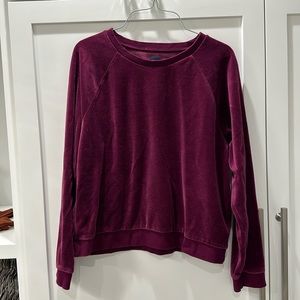 Gap. Purple velour sweatshirt